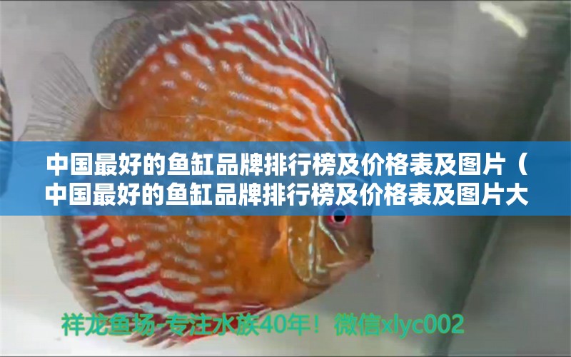 中國最好的魚缸品牌排行榜及價格表及圖片（中國最好的魚缸品牌排行榜及價格表及圖片大全） 祥龍水族醫(yī)院