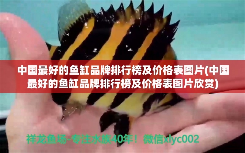 中國最好的魚缸品牌排行榜及價(jià)格表圖片(中國最好的魚缸品牌排行榜及價(jià)格表圖片欣賞) 雪龍魚