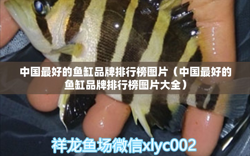 中國最好的魚缸品牌排行榜圖片（中國最好的魚缸品牌排行榜圖片大全）