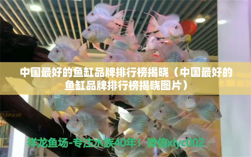 中國最好的魚缸品牌排行榜揭曉（中國最好的魚缸品牌排行榜揭曉圖片）