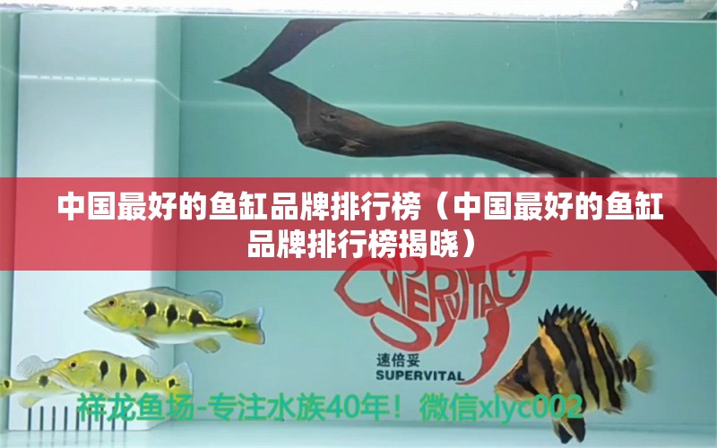 中國(guó)最好的魚缸品牌排行榜（中國(guó)最好的魚缸品牌排行榜揭曉） iwish愛唯希品牌魚缸