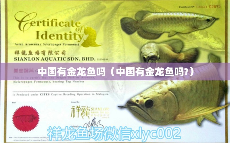 中國有金龍魚嗎（中國有金龍魚嗎?） 觀賞魚市場（混養(yǎng)魚）