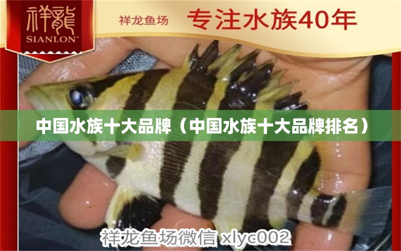 中國(guó)水族十大品牌（中國(guó)水族十大品牌排名） 其他品牌魚缸