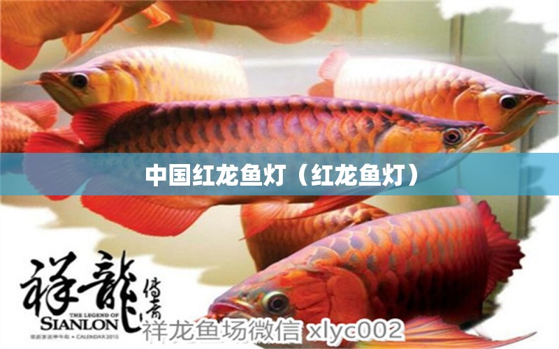 中國(guó)紅龍魚燈（紅龍魚燈）