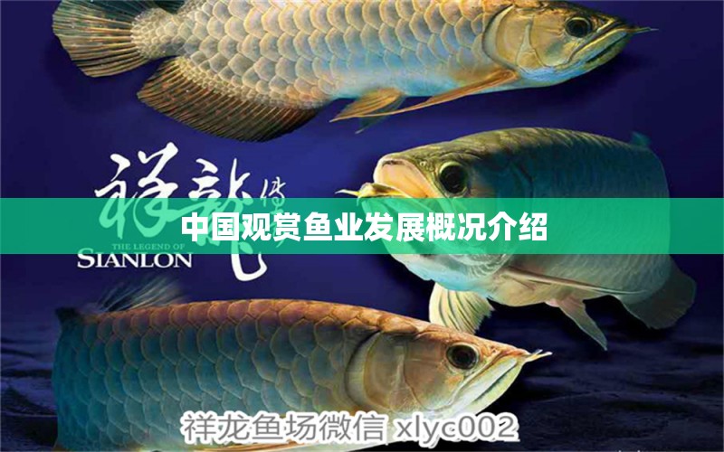 中國觀賞魚業(yè)發(fā)展概況介紹