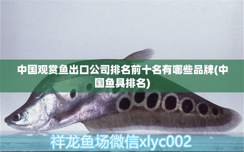 中國觀賞魚出口公司排名前十名有哪些品牌(中國魚具排名) 觀賞魚進(jìn)出口 第2張