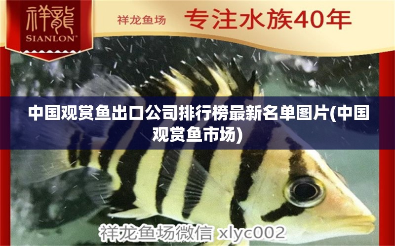 中國觀賞魚出口公司排行榜最新名單圖片(中國觀賞魚市場) 觀賞魚進(jìn)出口 第1張