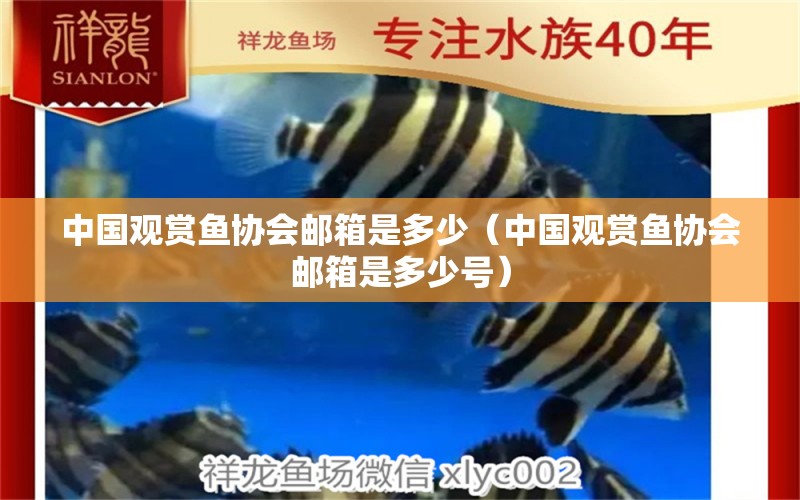 中國觀賞魚協(xié)會郵箱是多少（中國觀賞魚協(xié)會郵箱是多少號）