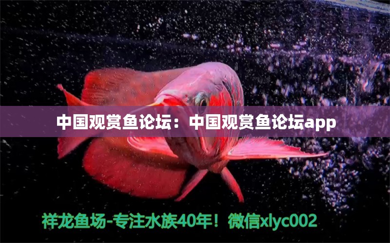 中國觀賞魚論壇：中國觀賞魚論壇app