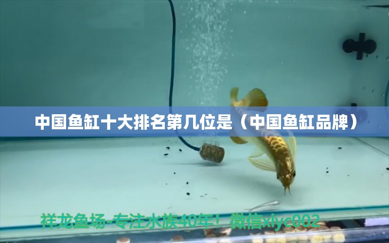 中國魚缸十大排名第幾位是（中國魚缸品牌）