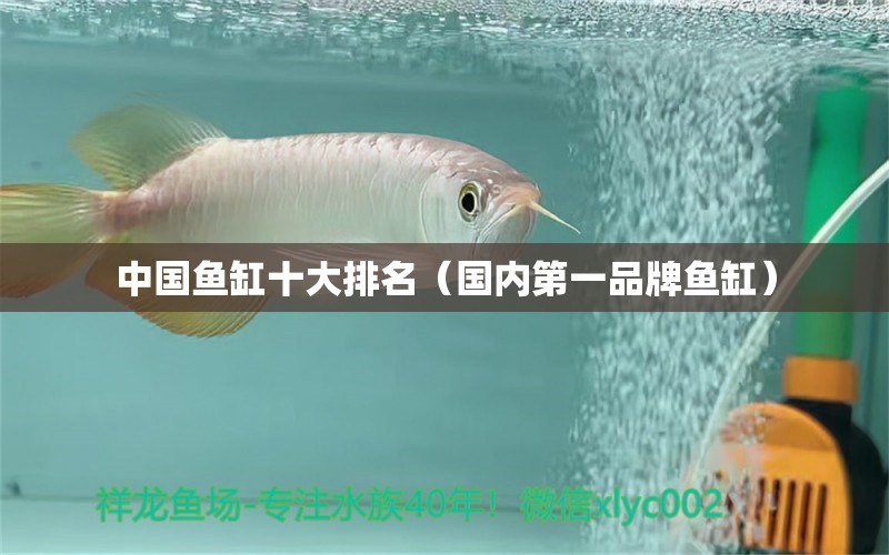 中國魚缸十大排名（國內(nèi)第一品牌魚缸） 大白鯊魚 第1張