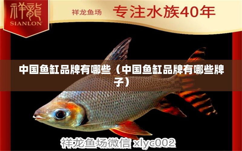 中國(guó)魚(yú)缸品牌有哪些（中國(guó)魚(yú)缸品牌有哪些牌子）