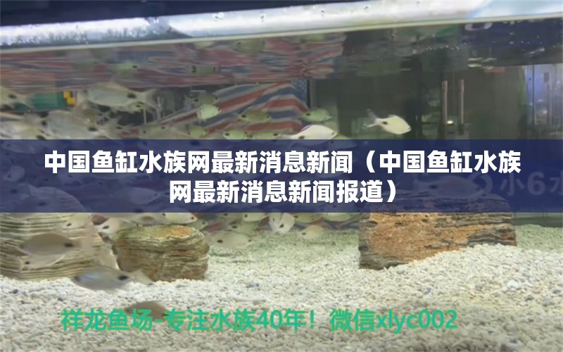 中國魚缸水族網(wǎng)最新消息新聞（中國魚缸水族網(wǎng)最新消息新聞報道）