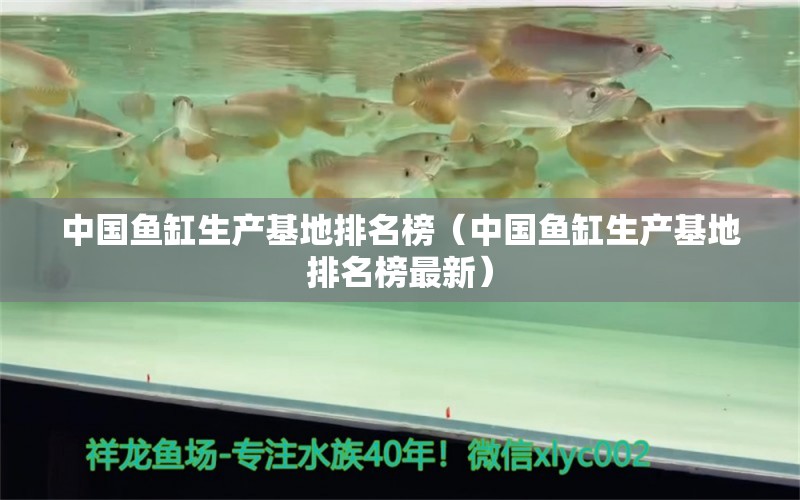 中國魚缸生產(chǎn)基地排名榜（中國魚缸生產(chǎn)基地排名榜最新） 豹紋夫魚苗