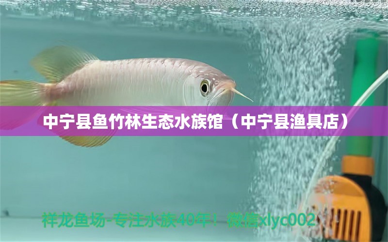 中寧縣魚(yú)竹林生態(tài)水族館（中寧縣漁具店）