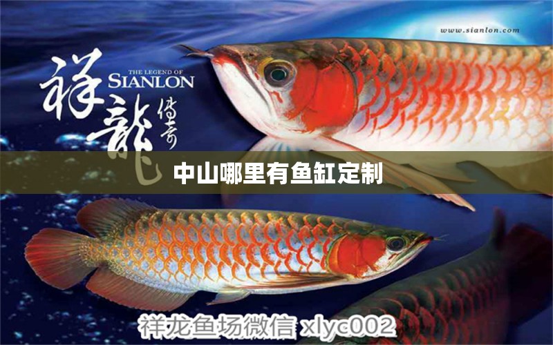 中山哪里有魚缸定制