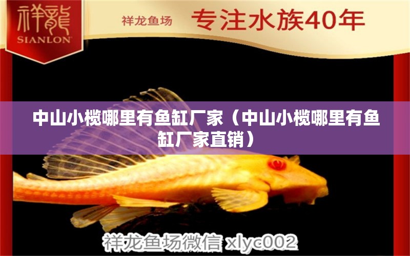 中山小欖哪里有魚缸廠家（中山小欖哪里有魚缸廠家直銷） 刀魚魚