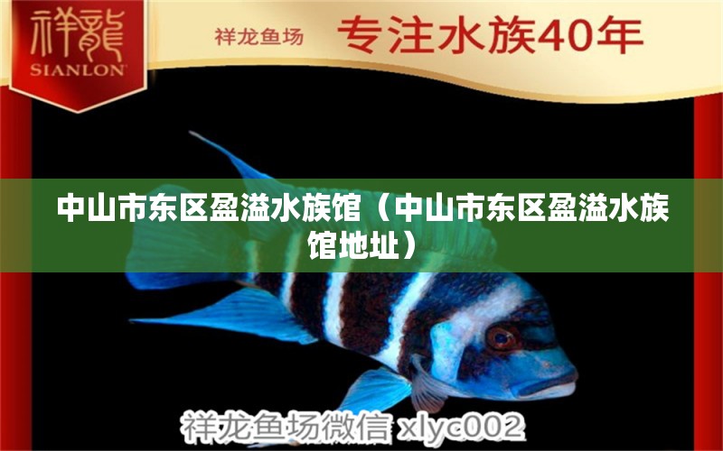 中山市東區(qū)盈溢水族館（中山市東區(qū)盈溢水族館地址）