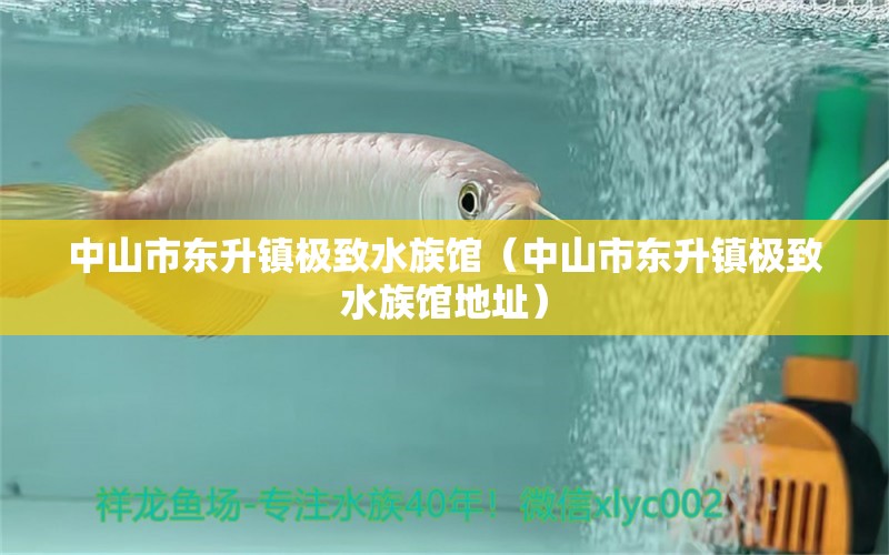 中山市東升鎮(zhèn)極致水族館（中山市東升鎮(zhèn)極致水族館地址） 全國水族館企業(yè)名錄