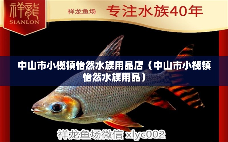 中山市小欖鎮(zhèn)怡然水族用品店（中山市小欖鎮(zhèn)怡然水族用品） 全國觀賞魚市場 第1張