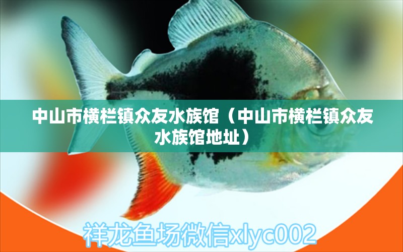 中山市橫欄鎮(zhèn)眾友水族館（中山市橫欄鎮(zhèn)眾友水族館地址）