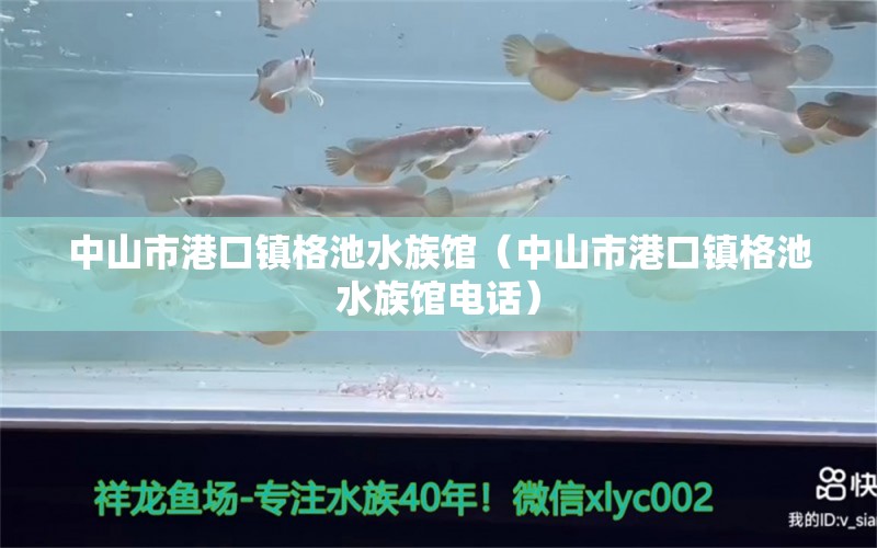 中山市港口鎮(zhèn)格池水族館（中山市港口鎮(zhèn)格池水族館電話） 全國水族館企業(yè)名錄