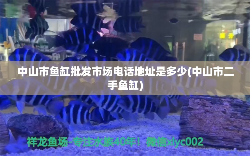 中山市魚(yú)缸批發(fā)市場(chǎng)電話地址是多少(中山市二手魚(yú)缸) 龍魚(yú)批發(fā)