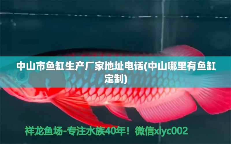 中山市魚缸生產(chǎn)廠家地址電話(中山哪里有魚缸定制) 其他品牌魚缸