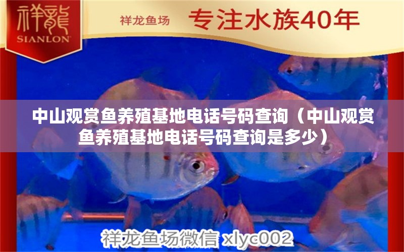 中山觀賞魚養(yǎng)殖基地電話號(hào)碼查詢（中山觀賞魚養(yǎng)殖基地電話號(hào)碼查詢是多少）