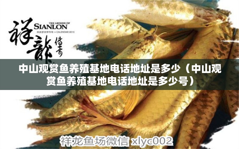 中山觀賞魚養(yǎng)殖基地電話地址是多少（中山觀賞魚養(yǎng)殖基地電話地址是多少號(hào)）