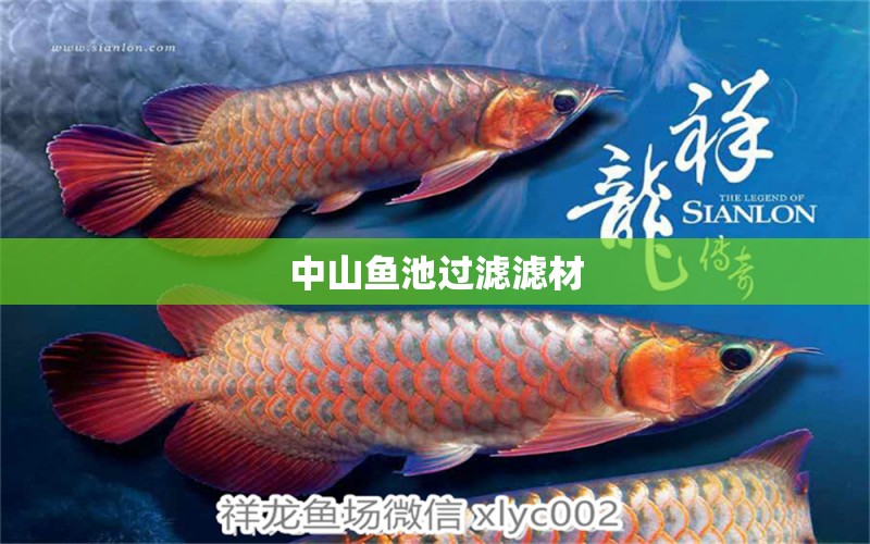 中山魚池過濾濾材 廣州水族器材濾材批發(fā)市場