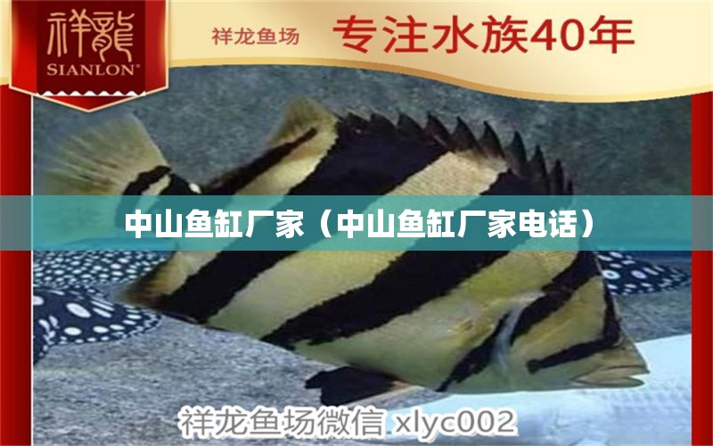 中山魚(yú)缸廠家（中山魚(yú)缸廠家電話）