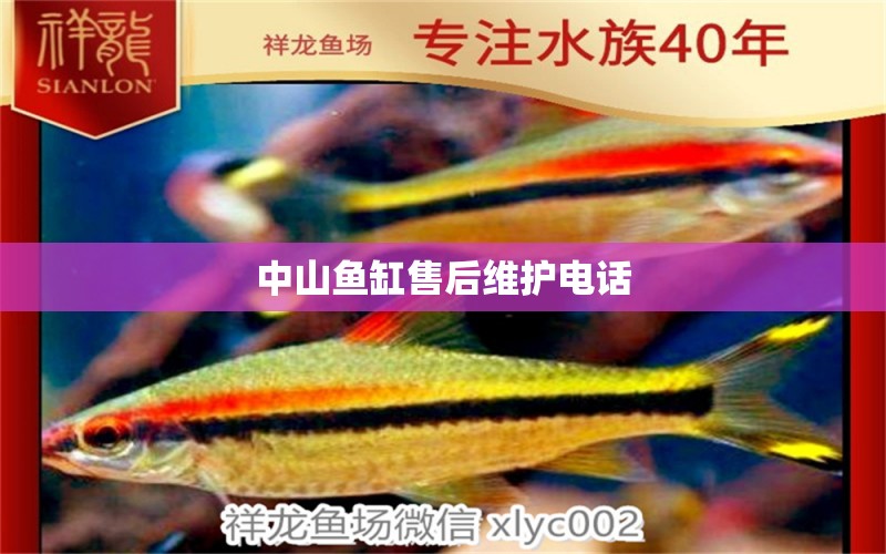 中山魚(yú)缸售后維護(hù)電話 其他品牌魚(yú)缸