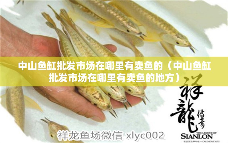 中山魚(yú)缸批發(fā)市場(chǎng)在哪里有賣(mài)魚(yú)的（中山魚(yú)缸批發(fā)市場(chǎng)在哪里有賣(mài)魚(yú)的地方） 祥龍赫舞紅龍魚(yú)