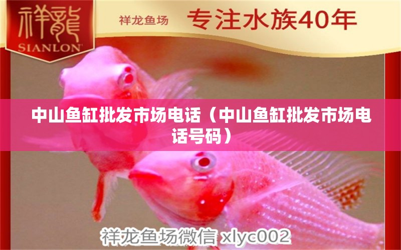 中山魚缸批發(fā)市場電話（中山魚缸批發(fā)市場電話號碼） 其他品牌魚缸