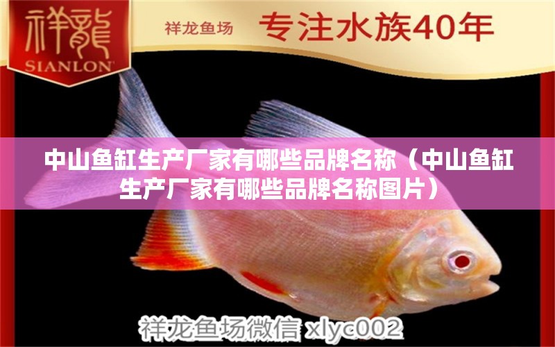 中山魚缸生產(chǎn)廠家有哪些品牌名稱（中山魚缸生產(chǎn)廠家有哪些品牌名稱圖片） 奈及利亞紅圓點(diǎn)狗頭