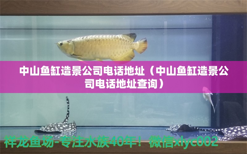 中山魚(yú)缸造景公司電話地址（中山魚(yú)缸造景公司電話地址查詢）