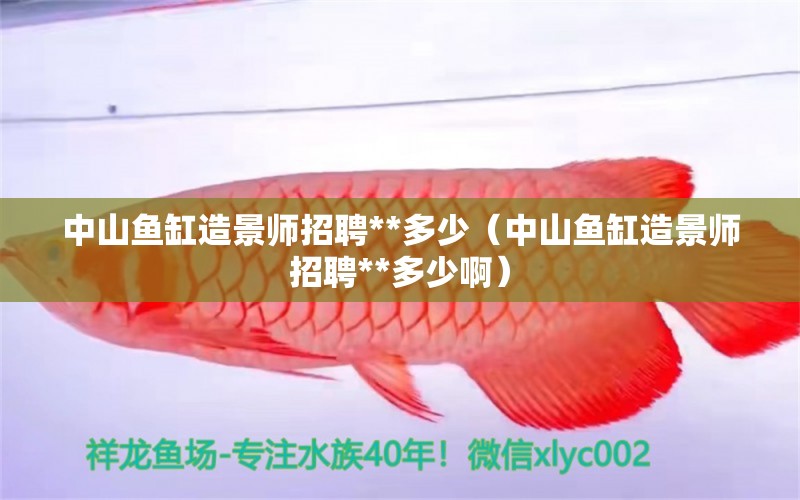 中山魚缸造景師招聘**多少（中山魚缸造景師招聘**多少?。?白子銀版魚苗