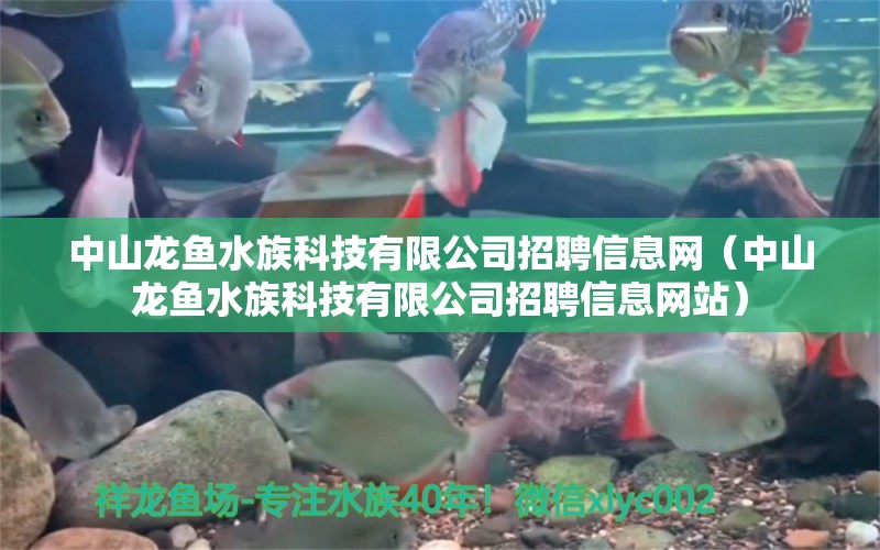 中山龍魚水族科技有限公司招聘信息網(wǎng)（中山龍魚水族科技有限公司招聘信息網(wǎng)站）