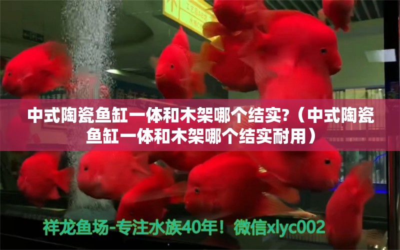 中式陶瓷魚缸一體和木架哪個(gè)結(jié)實(shí)?（中式陶瓷魚缸一體和木架哪個(gè)結(jié)實(shí)耐用） 其他品牌魚缸