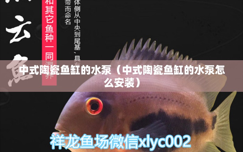 中式陶瓷魚缸的水泵（中式陶瓷魚缸的水泵怎么安裝）