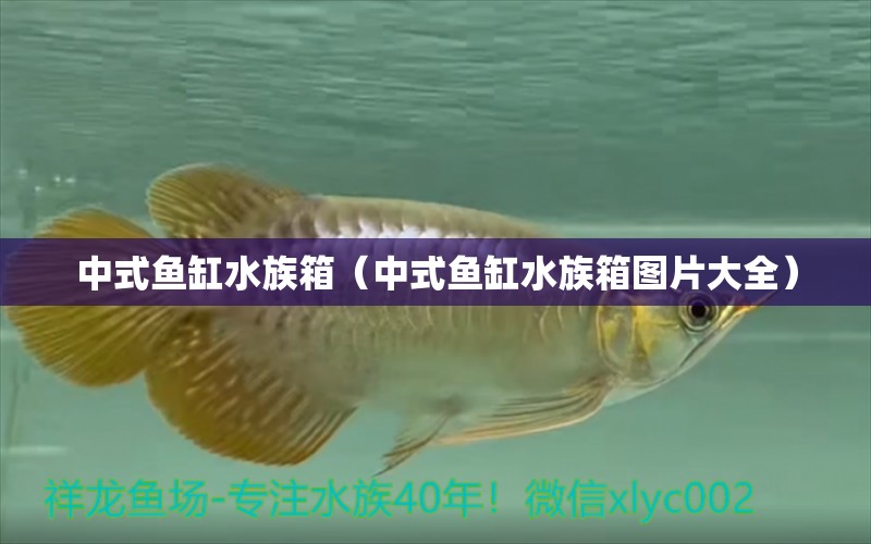 中式魚缸水族箱（中式魚缸水族箱圖片大全） 魚缸/水族箱