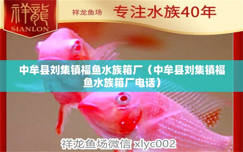 中牟縣劉集鎮(zhèn)福魚(yú)水族箱廠（中牟縣劉集鎮(zhèn)福魚(yú)水族箱廠電話）