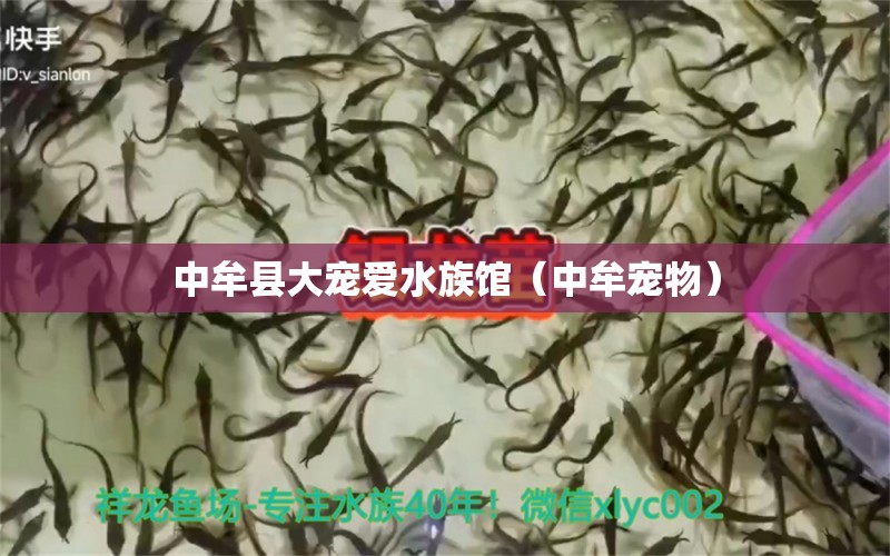 中牟縣大寵愛水族館（中牟寵物） 全國水族館企業(yè)名錄