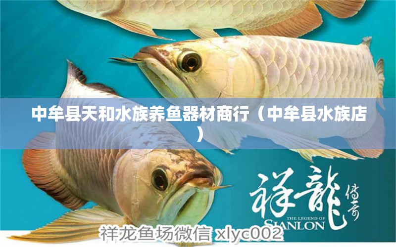 中牟縣天和水族養(yǎng)魚(yú)器材商行（中牟縣水族店） 全國(guó)水族館企業(yè)名錄