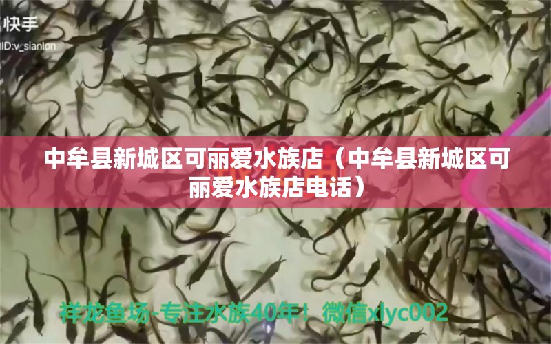 中牟縣新城區(qū)可麗愛水族店（中牟縣新城區(qū)可麗愛水族店電話） 全國水族館企業(yè)名錄