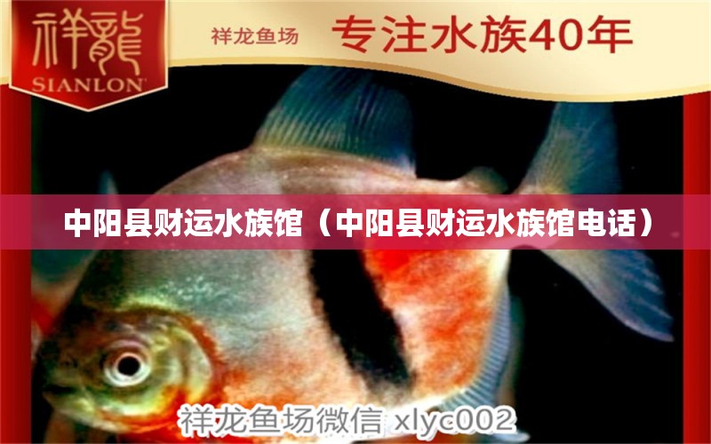 中陽縣財運水族館（中陽縣財運水族館電話） 全國水族館企業(yè)名錄