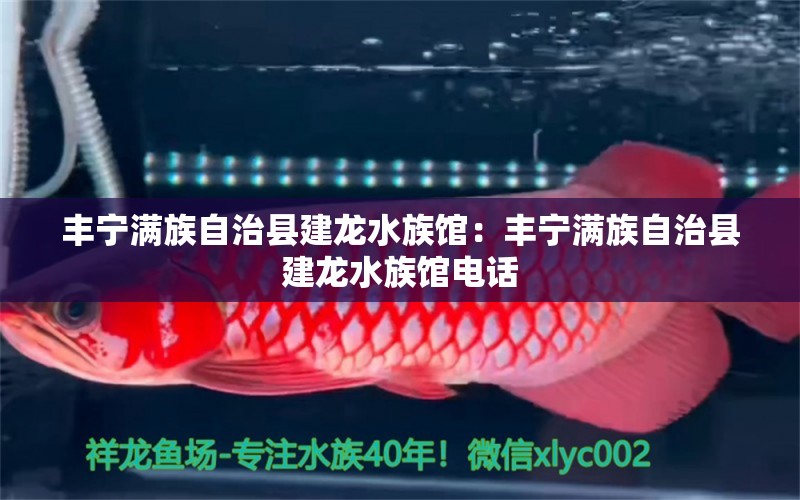 豐寧滿族自治縣建龍水族館：豐寧滿族自治縣建龍水族館電話 全國水族館企業(yè)名錄