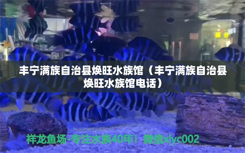 豐寧滿族自治縣煥旺水族館（豐寧滿族自治縣煥旺水族館電話）