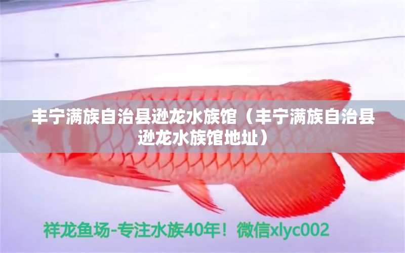 豐寧滿族自治縣遜龍水族館（豐寧滿族自治縣遜龍水族館地址）